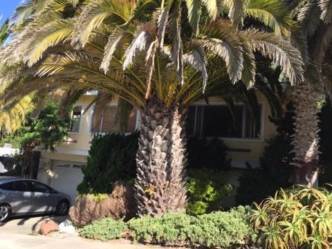 1147 Crespi, Pacifica, CA 94044