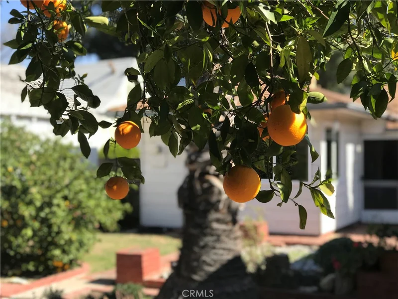 431 Orchard, Burbank, CA 91506