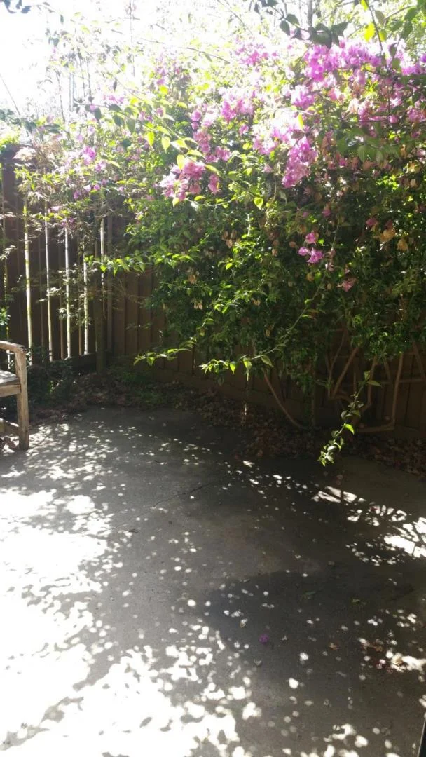 104 Castillion, Santa Cruz, CA 95060