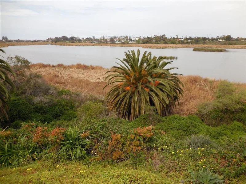 2535 Jefferson ##9, Carlsbad, CA 92008
