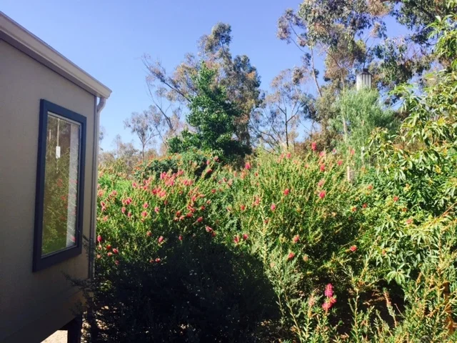 10432 Caminito Banyon, San Diego, CA 92131