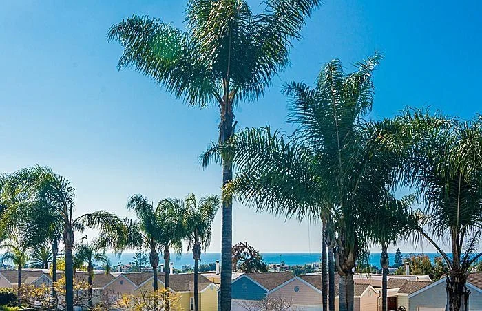 514 Orpheus Ave, Encinitas, CA 92024