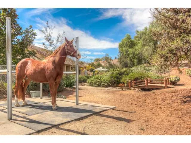 10388 Lal Bagh Lane, Escondido, CA 92026