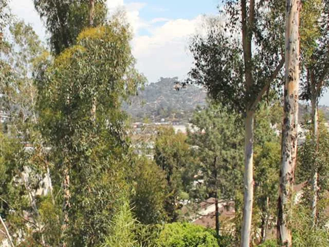 5430 Baltimore Drive #83, La Mesa, CA 91942