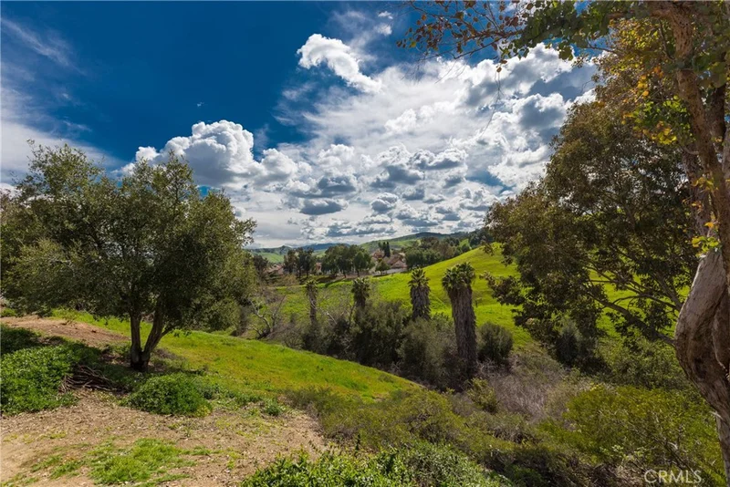 2993 Crape Myrtle, Chino Hills, CA 91709