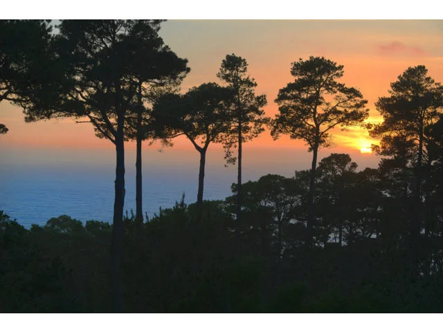 62 Corona, Carmel, CA 93923