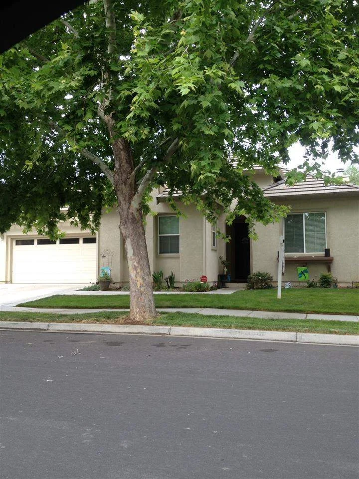 63 Guise Way, Brentwood, CA 94513-6224