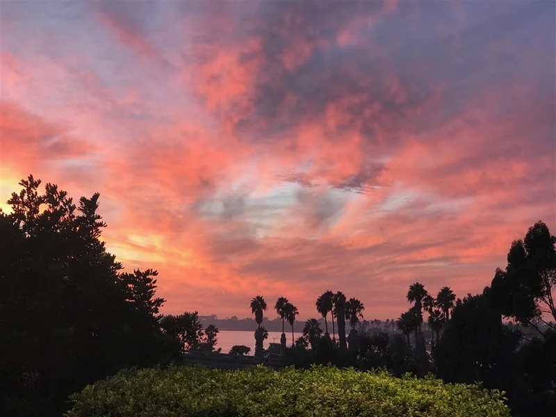2727 Morena Blvd #105, San Diego, CA 92117