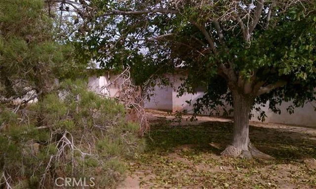 11615 10th, Hesperia, CA 92345
