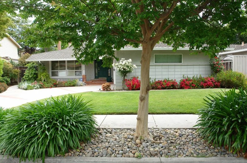 10110 Phar Lap, Cupertino, CA 95014