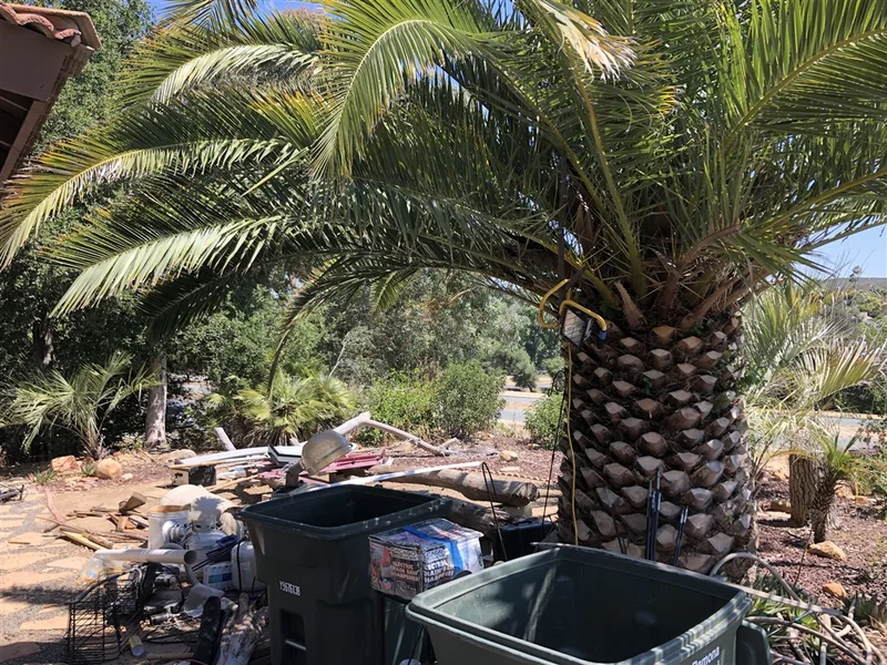 25434 Bellemore Dr, Ramona, CA 92065