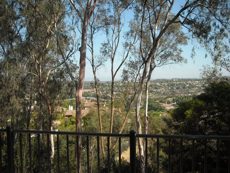 3016 Avenida Christina, Carlsbad, CA 92009