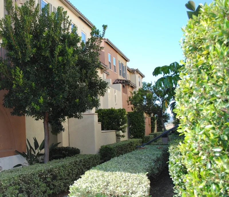 254 Marquette Ave, San Marcos, CA 92078