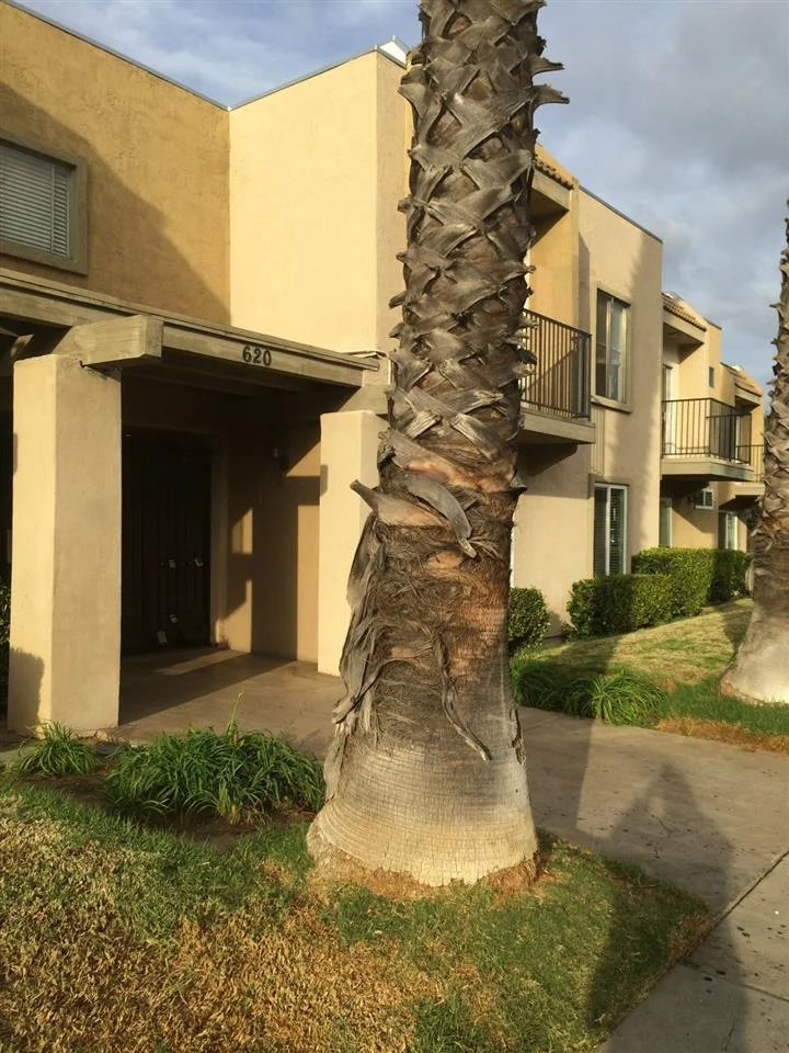620 Lexington Avenue #2, El Cajon, CA 92020