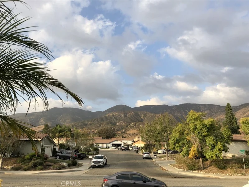 1005 Dover, San Bernardino, CA 92407