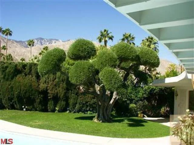 1138 Cactus, Palm Springs, CA 92264