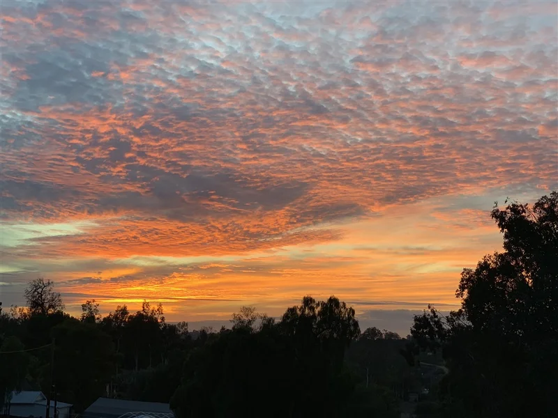 2754 Foothill Drive, Vista, CA 92084