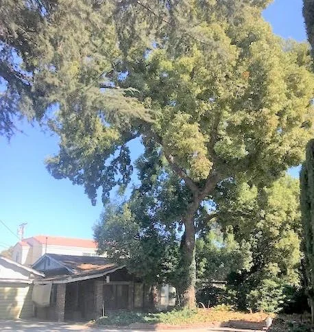 4214 Maxson Road, El Monte, CA 91732