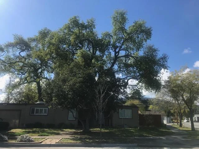 1868 Rosswood, San Jose, CA 95124