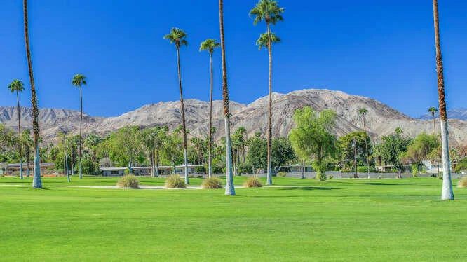 46225 Burroweed, Palm Desert, CA 92260