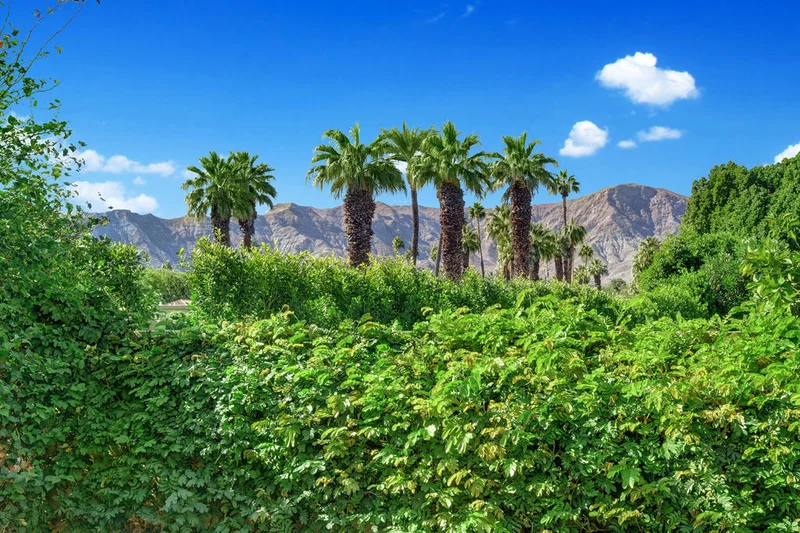 56 Cornell, Rancho Mirage, CA 92270