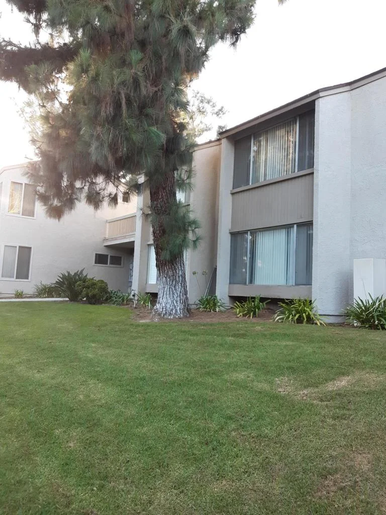 1135 Ibex, Ventura, CA 93003