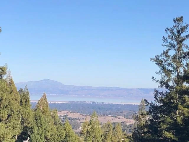 885 Espinosa, Woodside, CA 94062