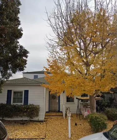 270 San Remo, Long Beach, CA 90803