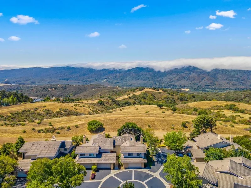 9 Lilly, San Carlos, CA 94070
